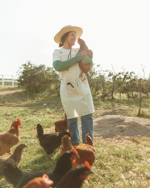 Gardener with her chickens standing in a field.