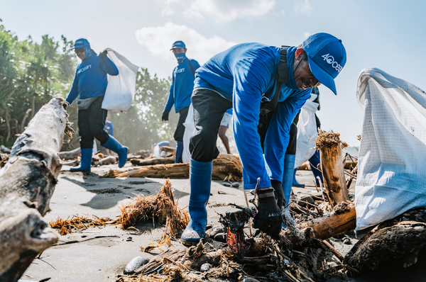 A crew cleaning a beach.