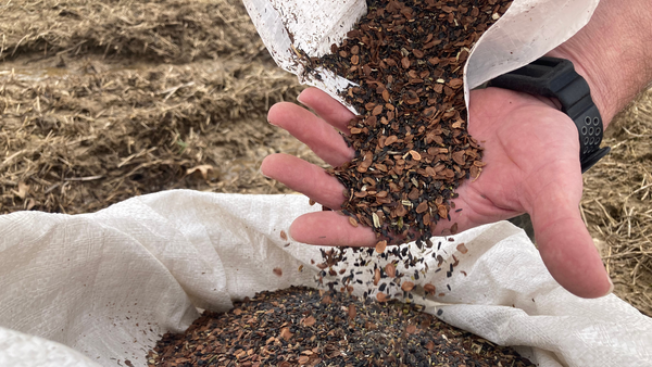 Seeds Pouring out of a bag 