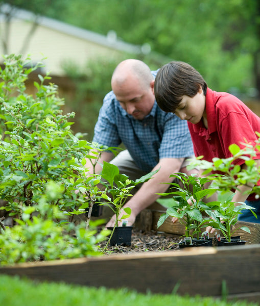 Father and son gardening together.