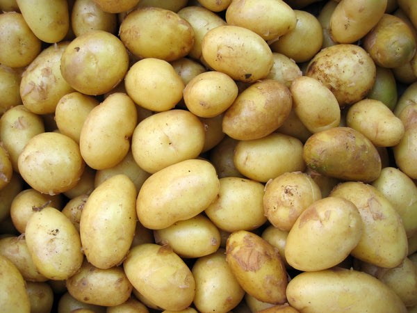 Close up of yellow potatoes.