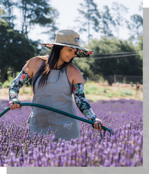 A woman watering a lavender field. 