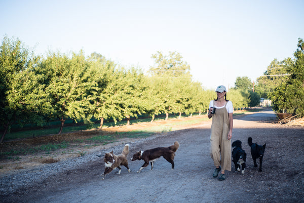 Christine walking with her seven dogs.