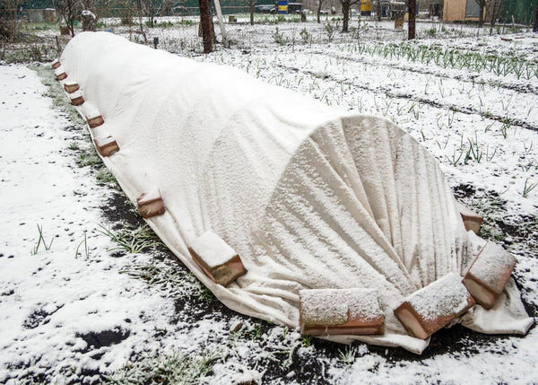 plastic tarp pinned down with bricks in snow 