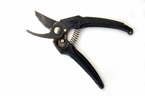 Manual pruning shears image on white backdrop 