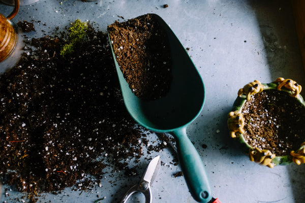 Shovel with dirt on a table.