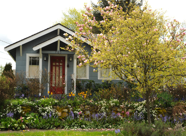 A house with a nice landscaping. 