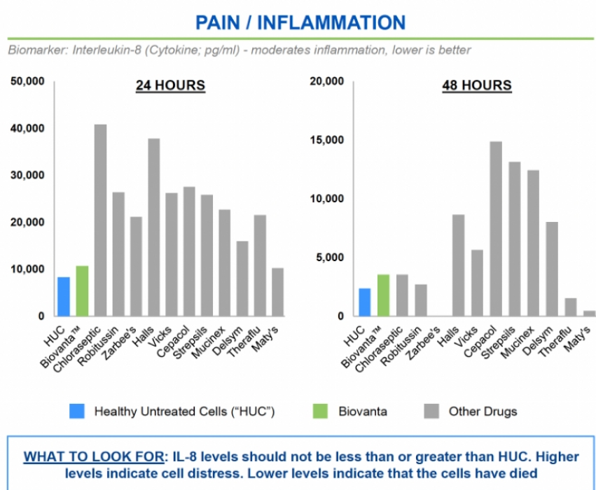 Pain Inflammation Image