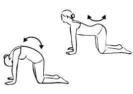 Oefeningen voor de onderrug als je pijn hebt pijn in onderrug stretch
