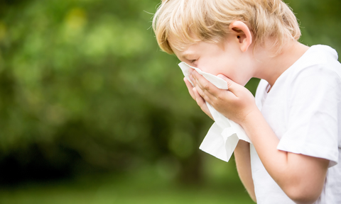 how to tell the difference between allergies or a cold