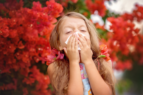 How to Provide Relief for Spring Allergies