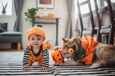 5 Things to Remember This Halloween From a Pediatric ENT