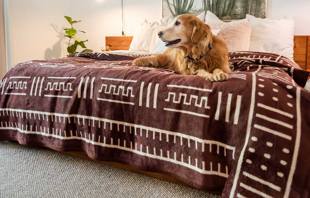Dog lying on a mud cloth African blanket on a california king bed