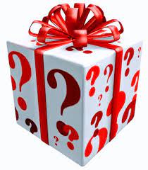 Christmas Limited Edition Project Mystery Box (December)
