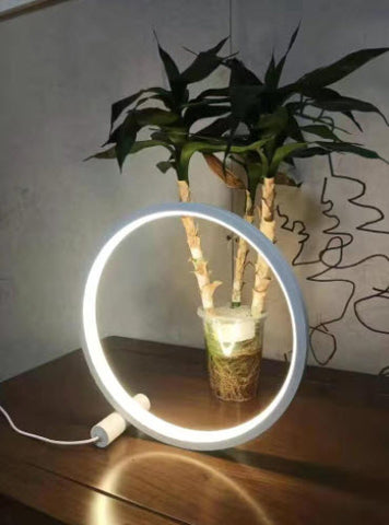 Circle of Life Table Lamp 04.jpg