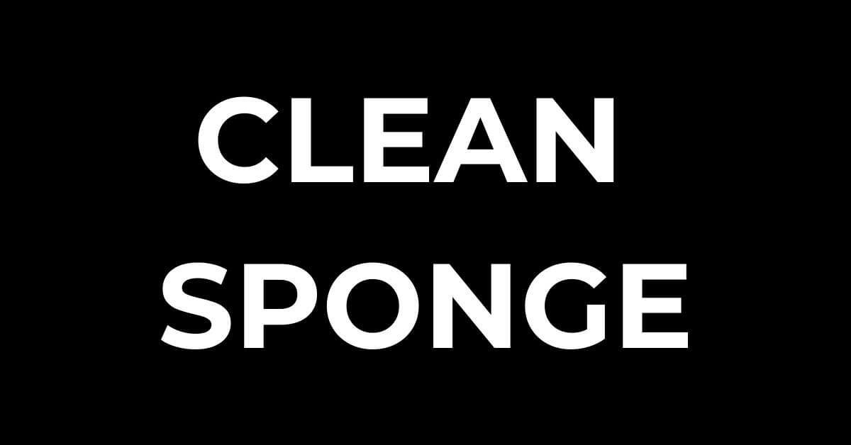 CLEAN SPONGE ®