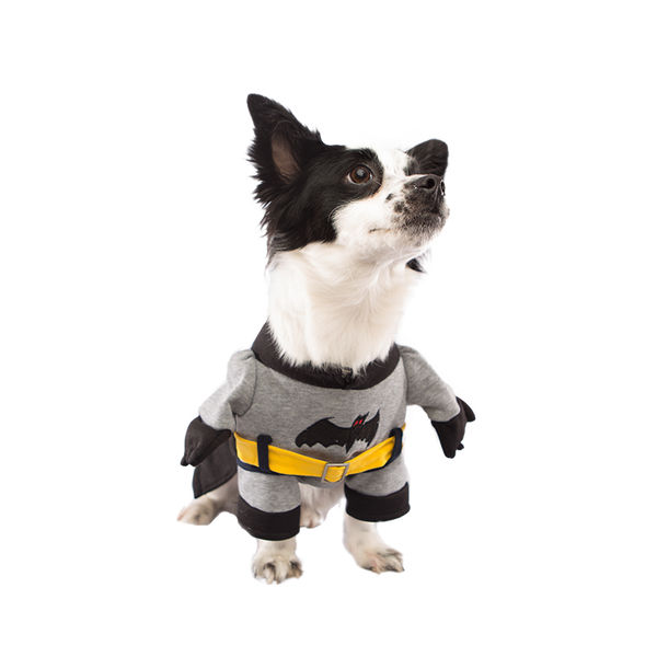 The Batman Dog Costume – Pet Threads - Dog Clothes