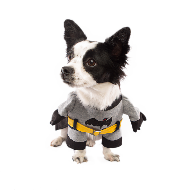 The Batman Dog Costume – Pet Threads - Dog Clothes