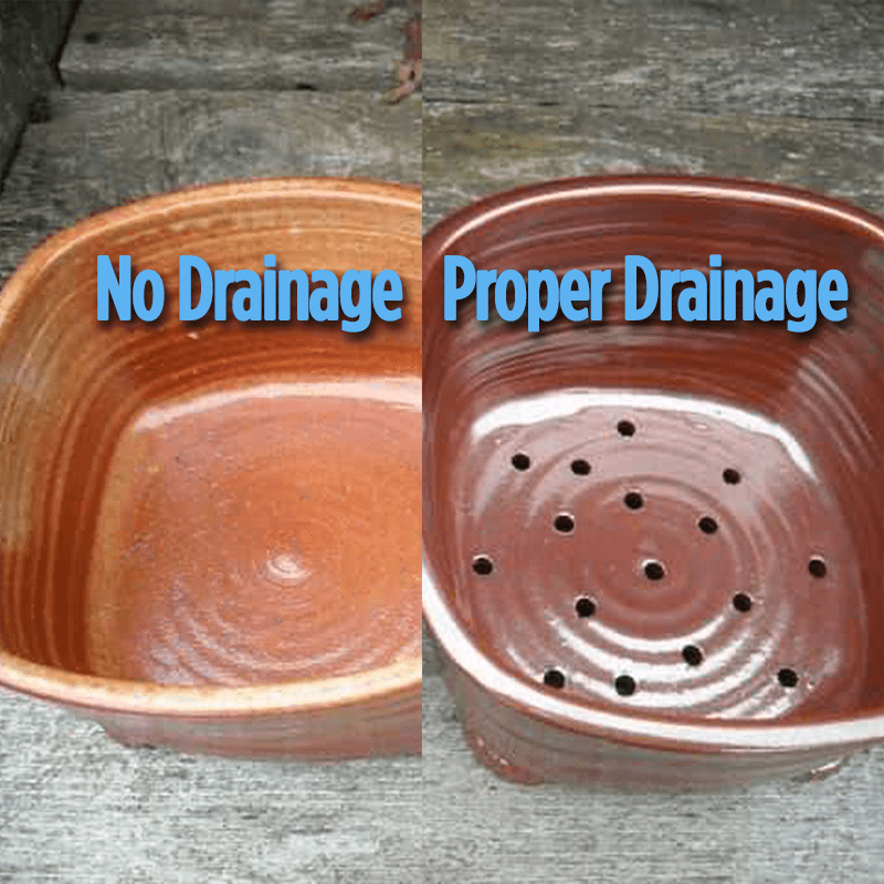 Pot Drainage Example