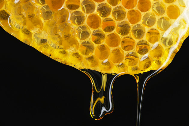 Fresh yellow honeycomb with honey dripping from the bottom