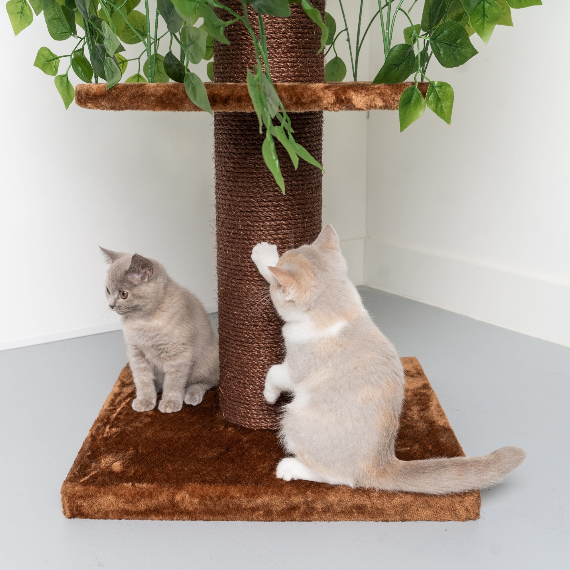 Avispón girar viernes Árbol Rascador Para Gatos Diseño Natural Leaves – RHR Pets ES