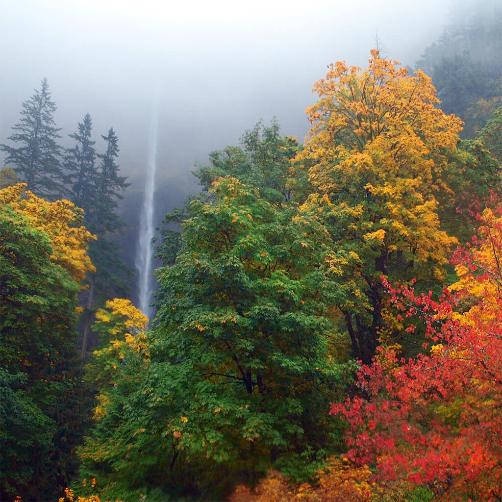 Must See Fall Spots - Portland, OR