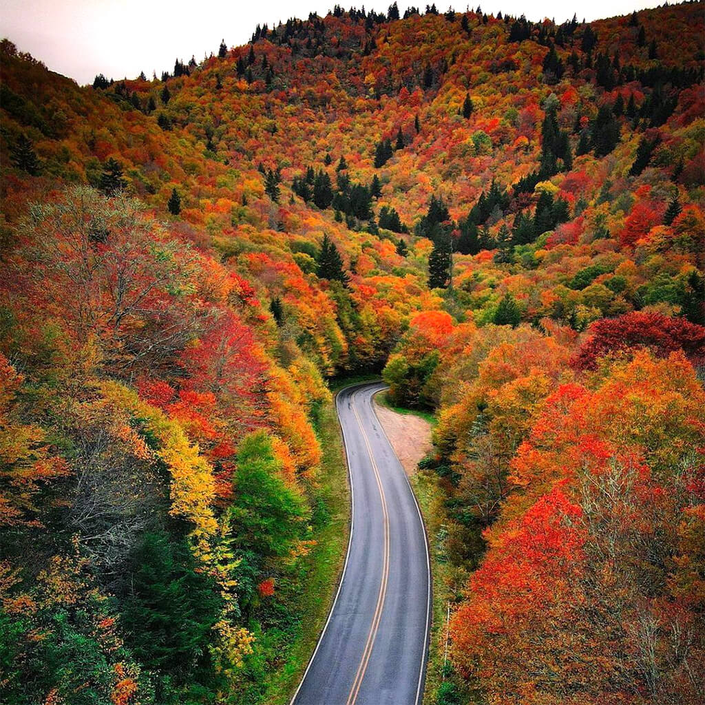 Must See Fall Spots - Asheville, NC