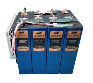 12V 100Ah Lithium Iron Phosphate (LiFePO4) Prismatic Battery with 100A BMS