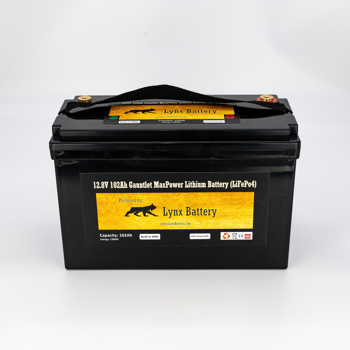 Lynx Battery 12V 100Ah Lithium Iron Phosphate LiFePO4 Deep Cycle Battery Built-in BMS with Cold Cut-Off Switch Perfect for Solar, RV, Marine, Golf Cart, Van & Off-Grid Applications