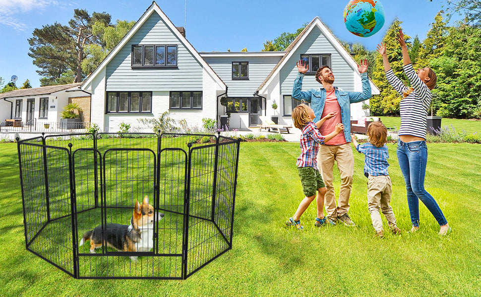 Elecwish High-Security Pet Fences using scene