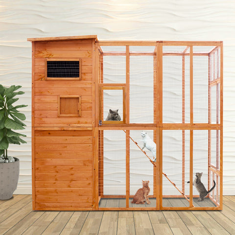 Cat House PE1002OR