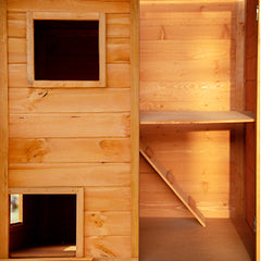 Cat House PE1002OR display is a main house with doors and windows