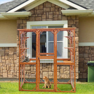 Cat House Catio Enclosure with Wire Mesh PE1001OR