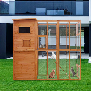 Cat House PE1002OR display