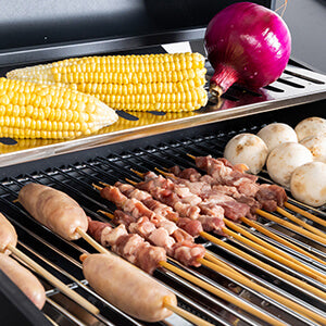 Elecwish Stainless Steel Liquid Propane Gas Grill with Side 3-Burner has Generous Vookina Area