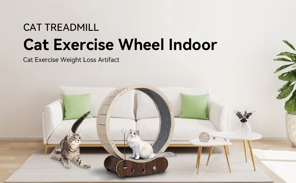 Wooden Cat Exercise Wheel