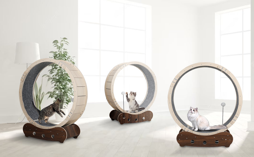  Wooden Cat Exercise Wheel usage display