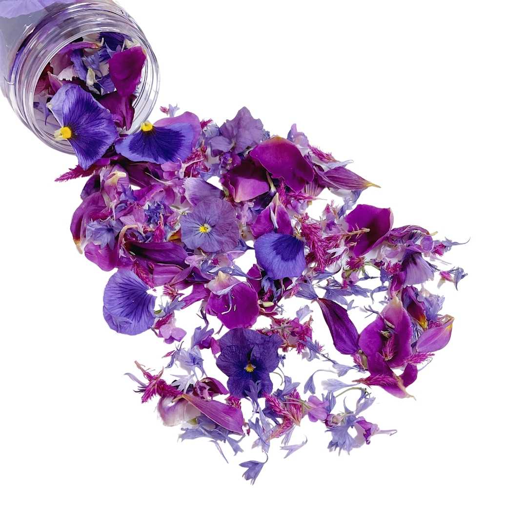 Edible Dried Flowers — Shop — PETALS X BONBONS