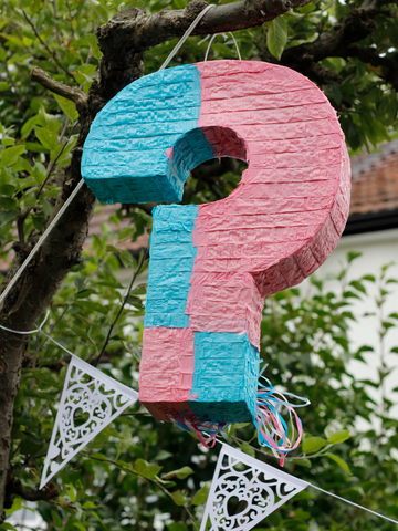 10 Unique Gender Reveal Ideas – Ellie's Party Supply