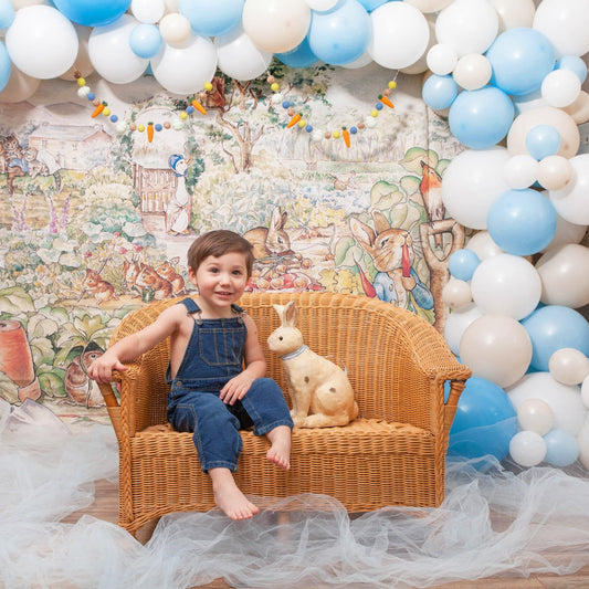  Peter Rabbit Backdrop for Baby Shower Weclome Baby Peter  Rabbit Baby Shower Banner for Boy Vinyl Background Peter Rabbit 1st  Birthday Party Decorations (5X3FT) : Electronics