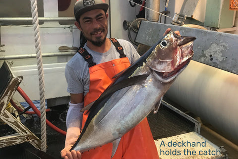 A deckhand holds the catch.