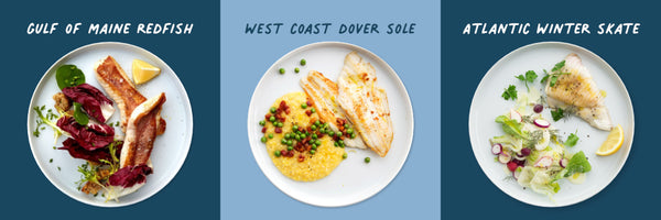 Plated photos of Gulf of Maine Redfish, West Coast Dover Sole, and Atlantic Winter Skate