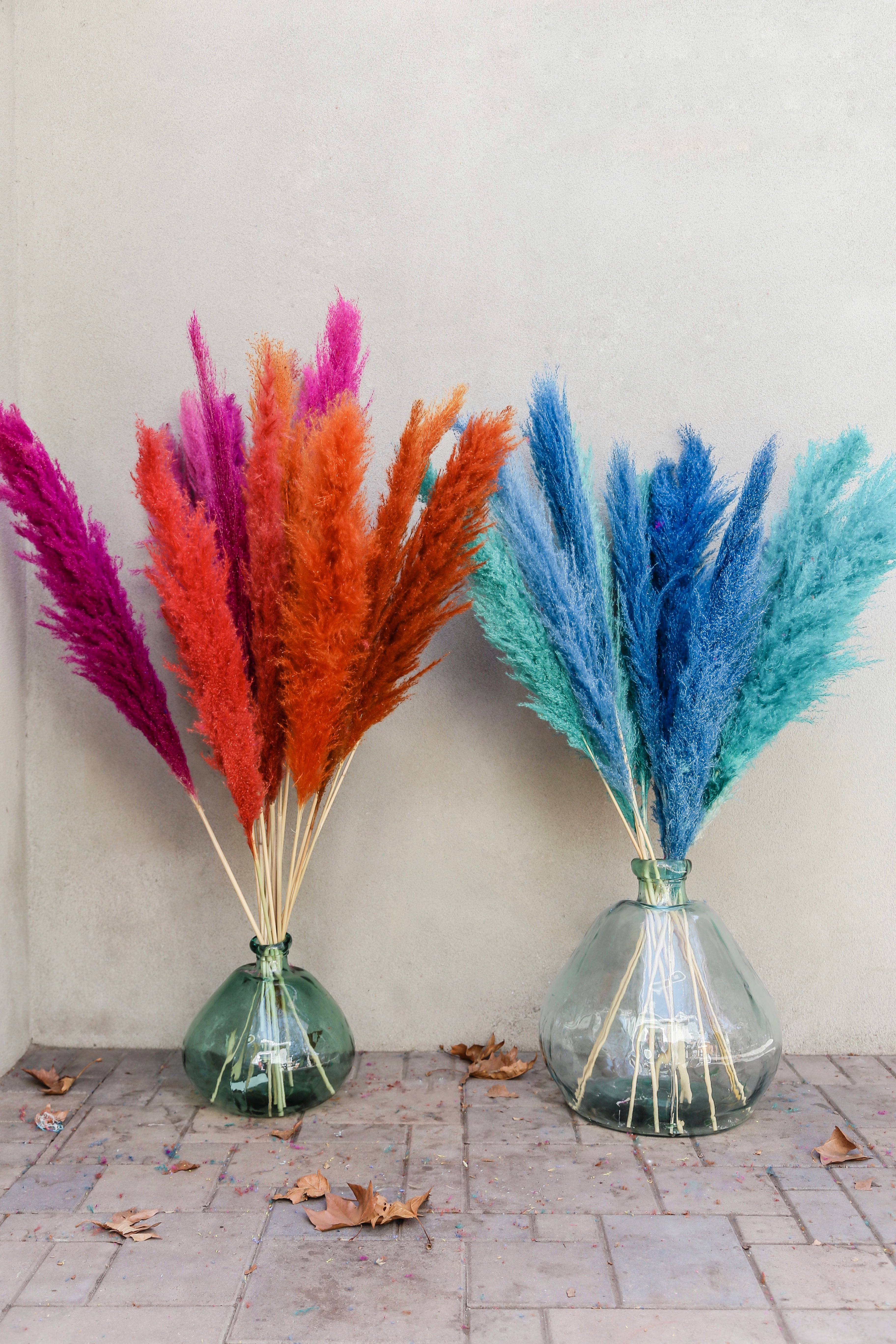 DRIED PAMPAS GRASS 4ft for decor and weddings (Red, orange, fuchsia, t –  lozidecor.com