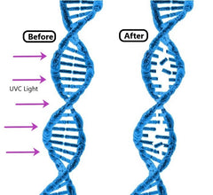 UVC Sterilization