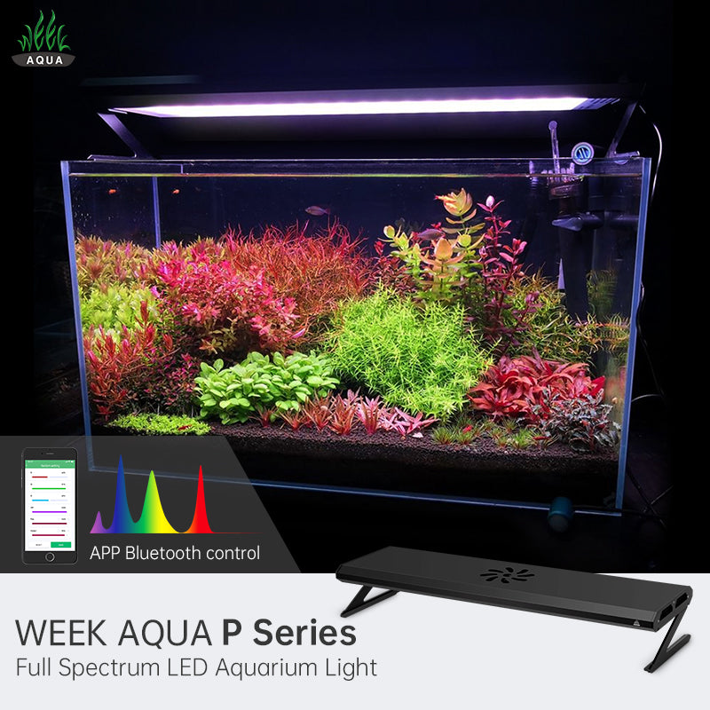 Eclairage aquarium : led, t5, t8, lampe éco, HQI, HQL - AQUADESIGNER