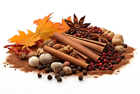 Fall Spices That Keep You Warm
