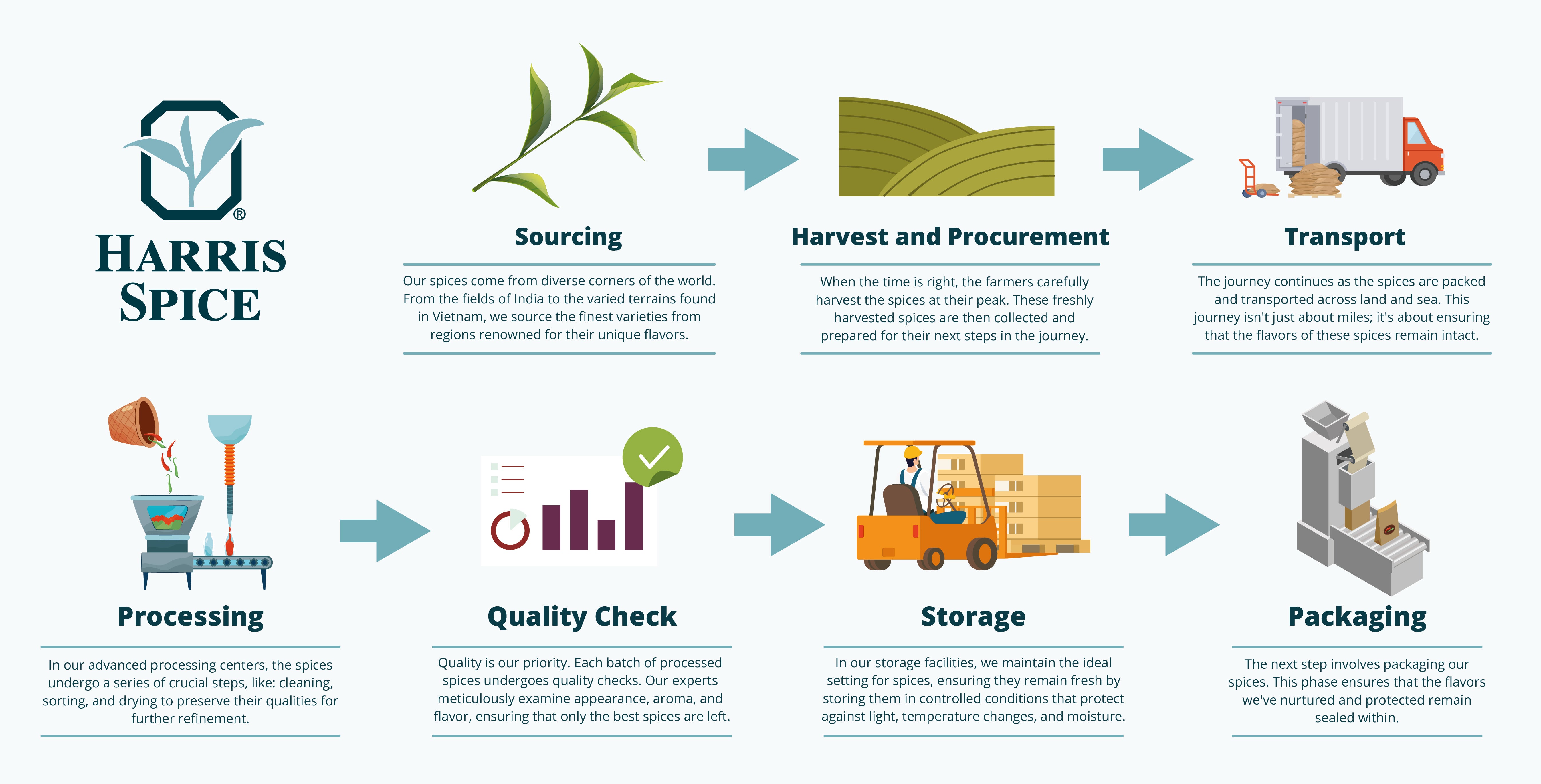 Infographic showing the flow from harvesting to packaging