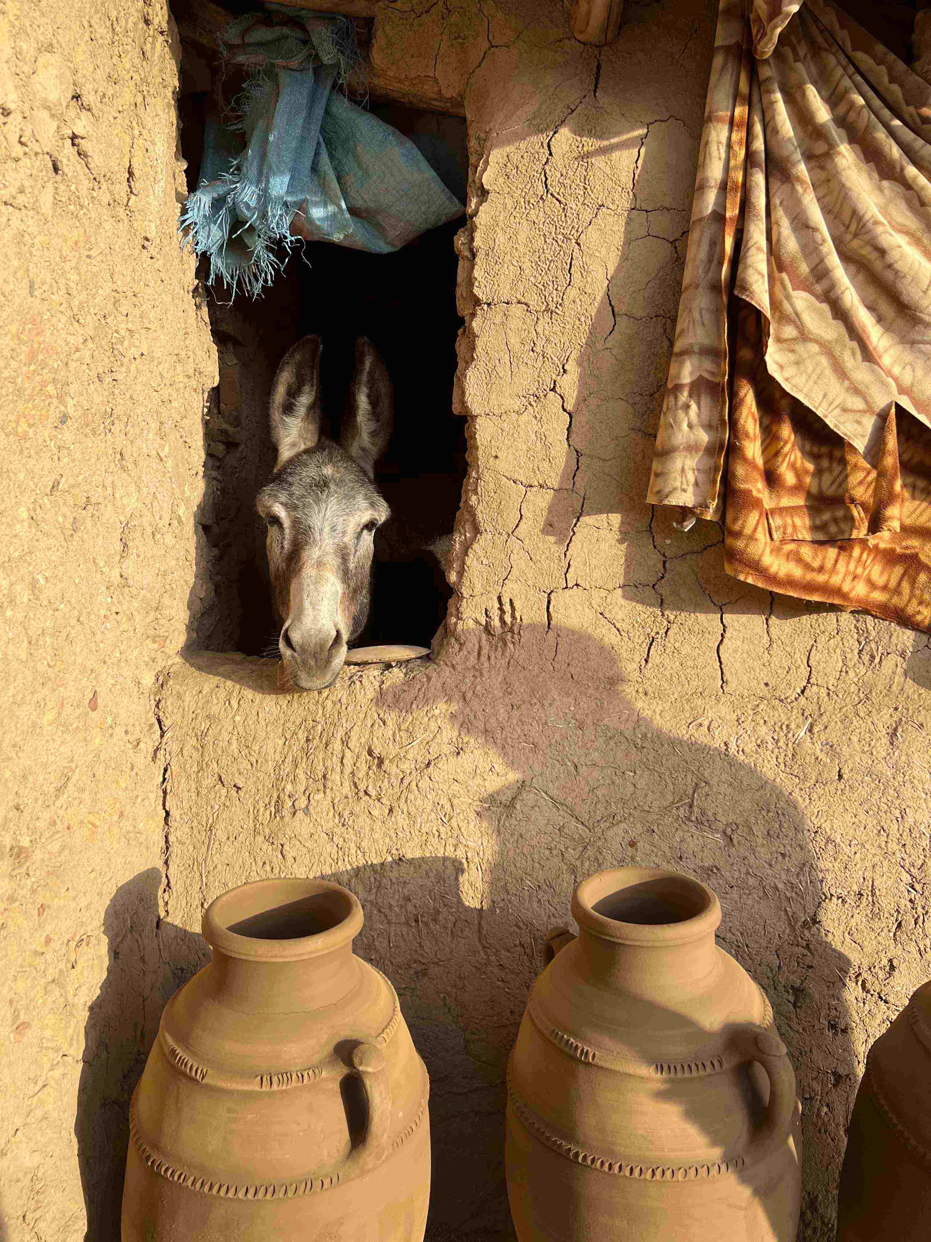 les-petits-bohèmes-inde