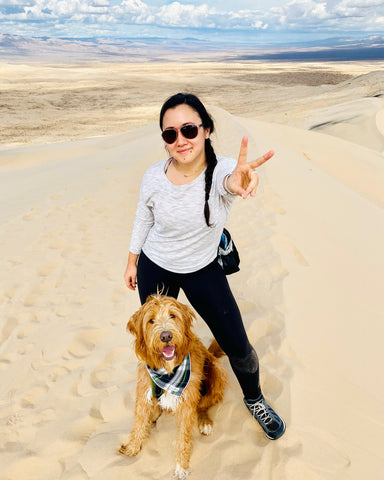 are dogs allowed in mojave national preserve