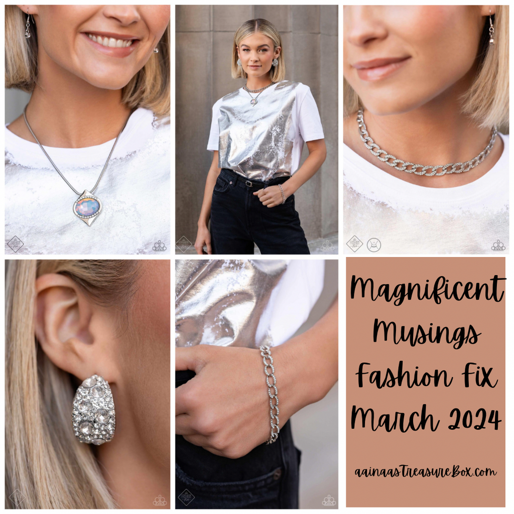 Magnificent Musings Fashion Fix March 2024 Paparazzi